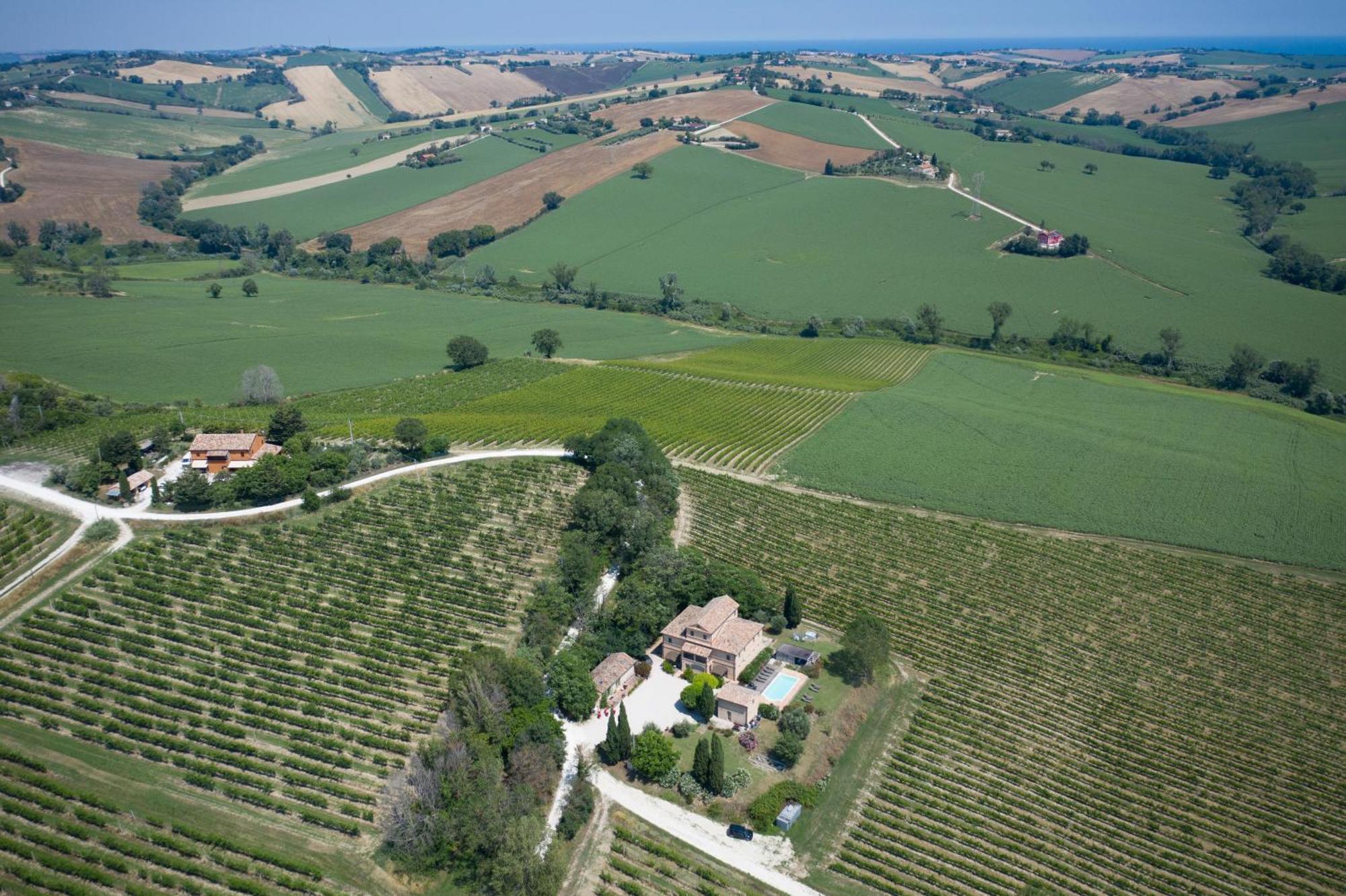 La Vita Nuova Appartements - Appart B&B Morro dʼAlba Esterno foto